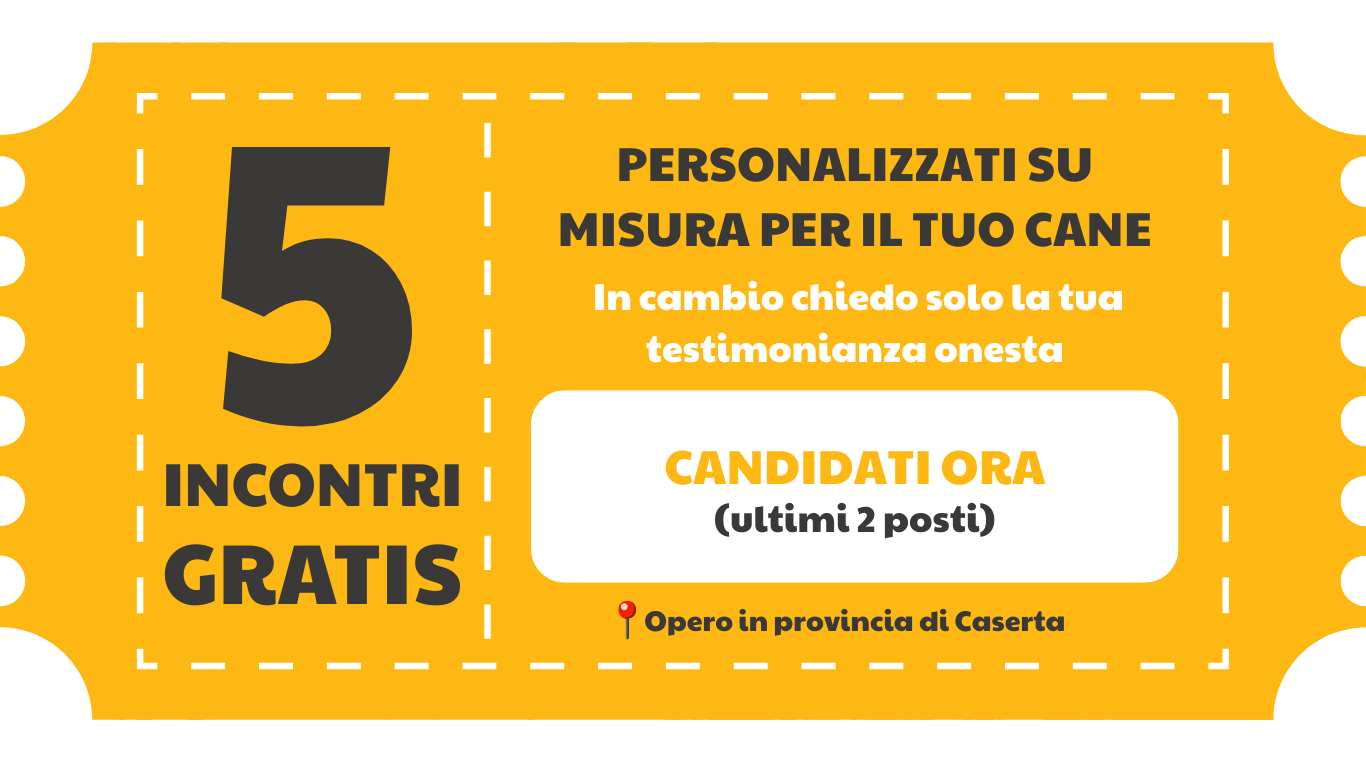 5 incontri gratis - Candidati ora