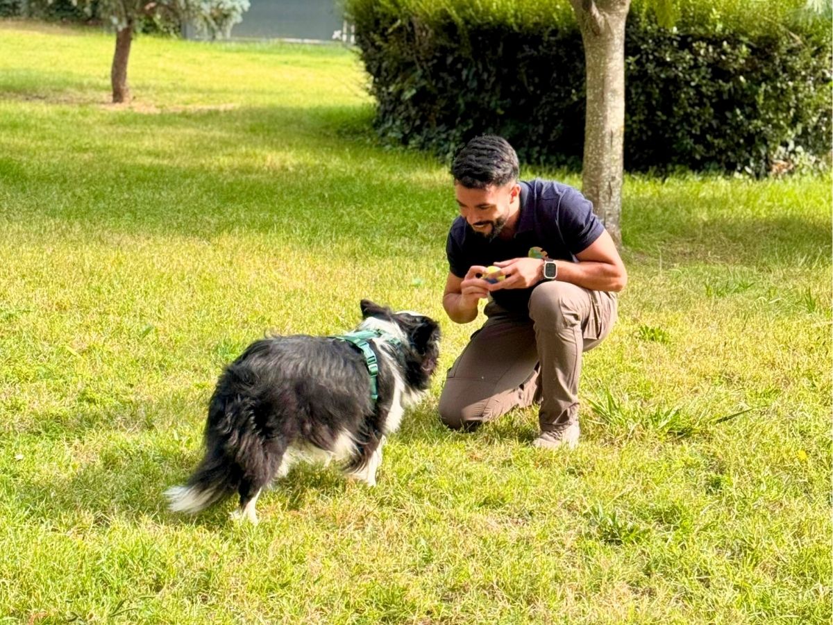 Vincenzo che lavora con un border collie su un prato