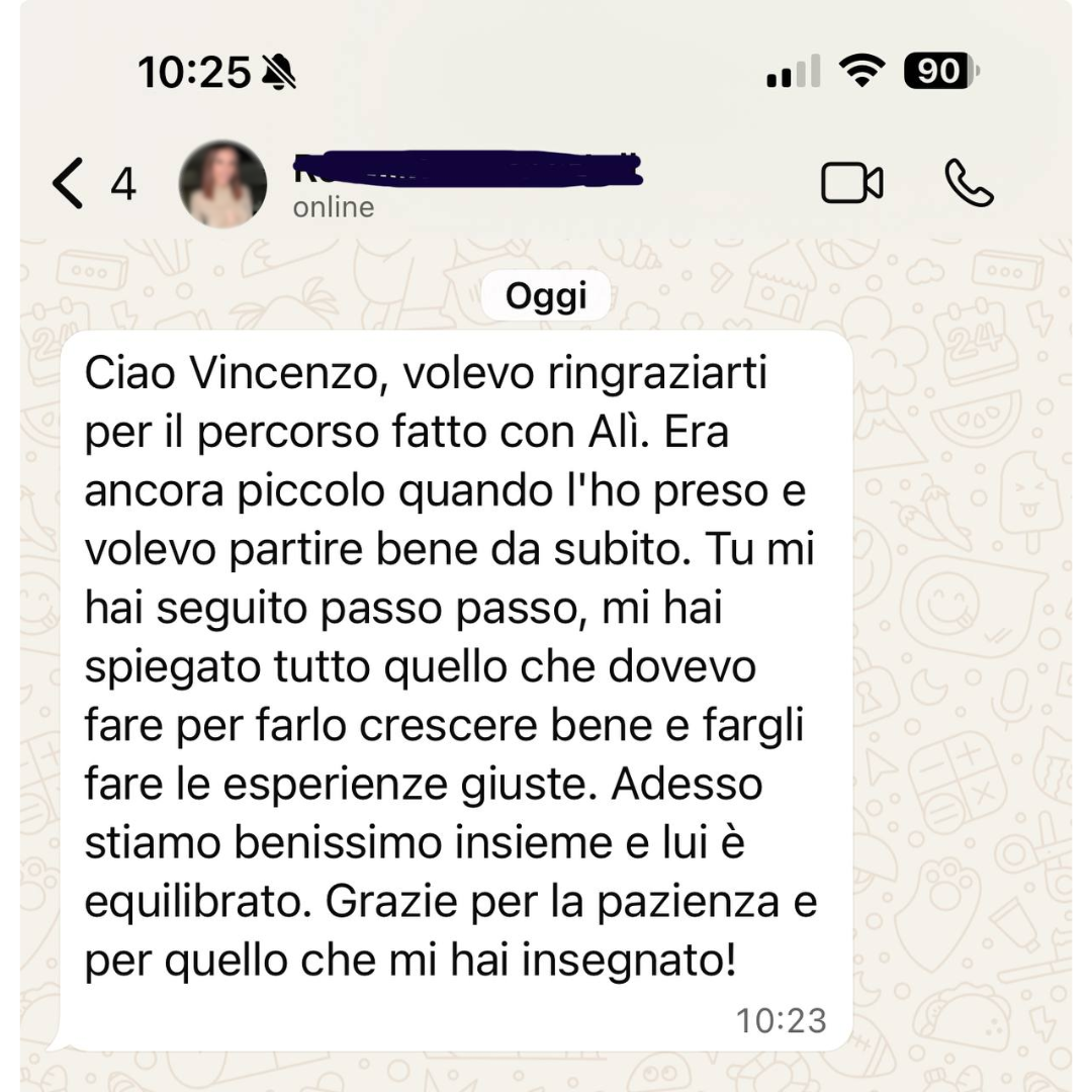 Testimonianza 2