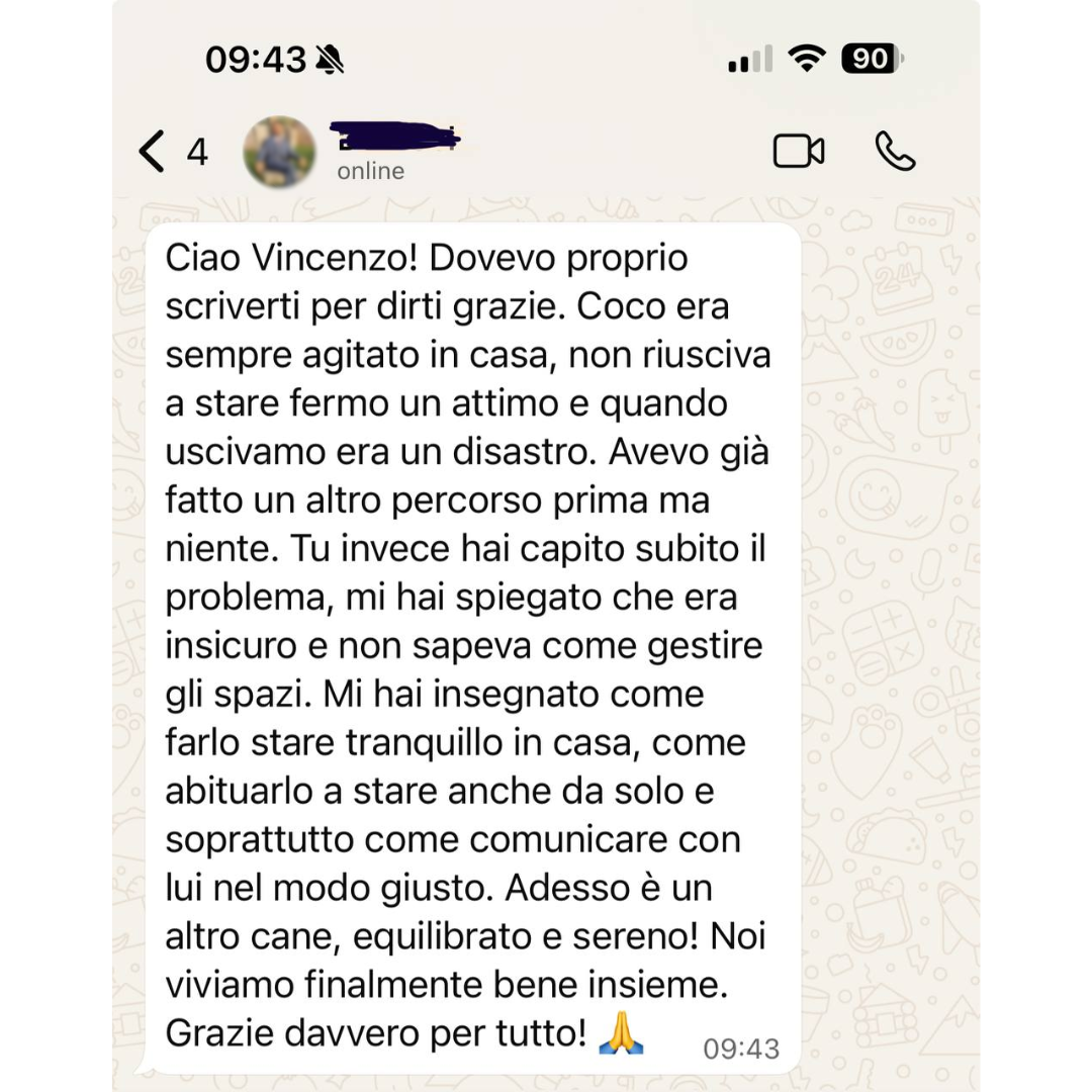 Testimonianza 3